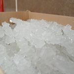 نبات شاخه سفید